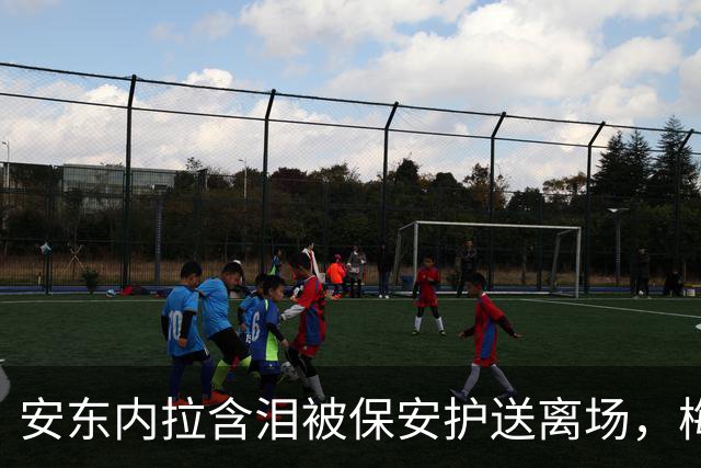 安东内拉含泪被保安护送离场，梅西世界杯决赛再碎