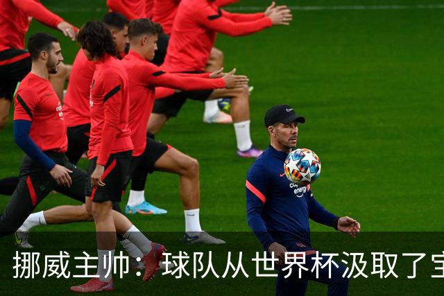 挪威主帅：球队从世界杯汲取了宝贵的经验，能在欧洲杯再攀高峰