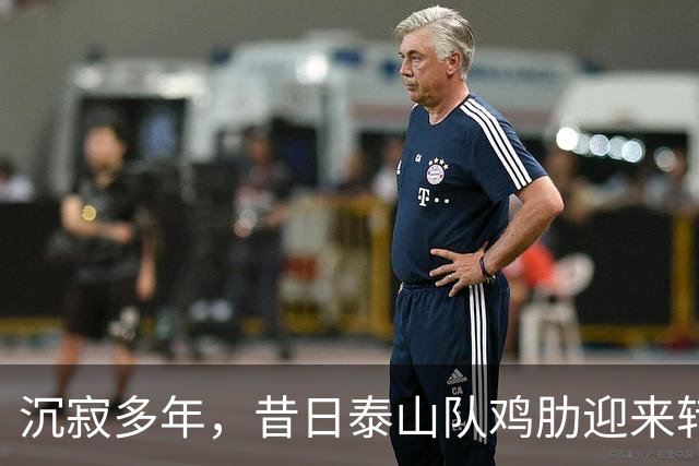 沉寂多年，昔日泰山队鸡肋迎来转机，韩鹏欣赏他，2球3助攻快赶上谢文能